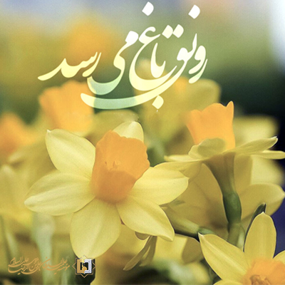 امام-زمان-ولایت مؤسسه علمیه السلطان علی بن موسی الرضا ع