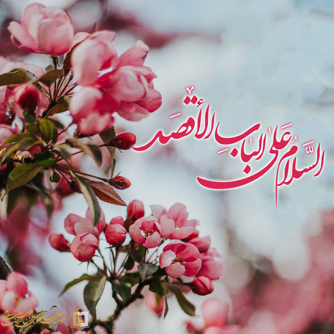 جواد الائمه (ع)، باب‌الاقصد، مؤسسه علمیه السلطان علی بن موسی الرضا علیه السلام