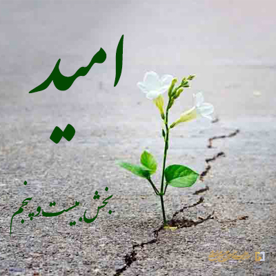 بخش-بیست-و-پنجم ـ مؤسسه علمیه السلطان علی بن موسی الرضا ع