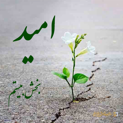 بخش-بیستم ـ مؤسسه علمیه السلطان علی بن موسی الرضا ع