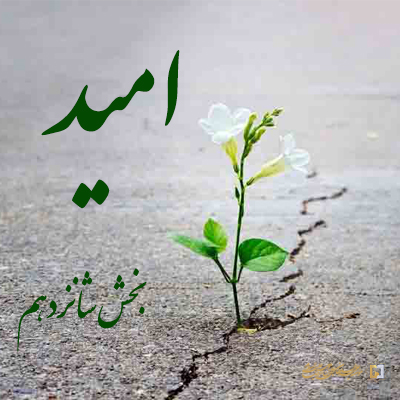 بخش-شانزدهم ـ مؤسسه علمیه السلطان علی بن موسی الرضا ع