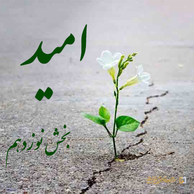 بخش-نوزدهم ـ مؤسسه علمیه السلطان علی بن موسی الرضا ع
