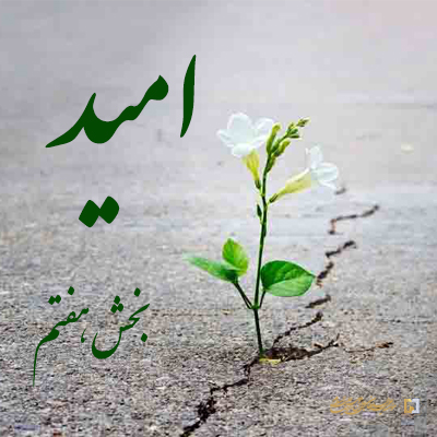 بخش-هفتم ـ مؤسسه علمیه السلطان علی بن موسی الرضا ع