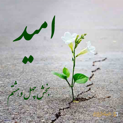 بخش-چهل-و-هشتم ـ مؤسسه علمیه السلطان علی بن موسی الرضا علیهالسلام