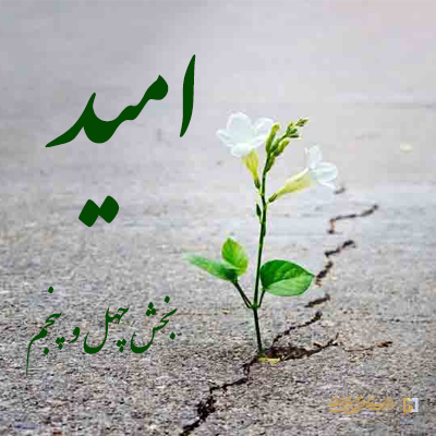 بخش-چهل-و-پنجم ـ مؤسسه علمیه السلطان علی بن موسی الرضا علیه السلام