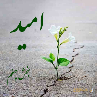 بخش-چهلم ـ مؤسسه علمیه السلطان علی بن موسی الرضا ع
