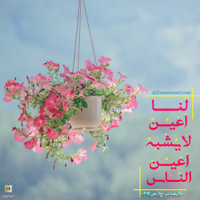 گزین-گفته-ها-ـ-لنا-أعین-لا-یشبه-أعین-الناس- مؤسسه علمیه السلطان علی بن موسی الرضا ع